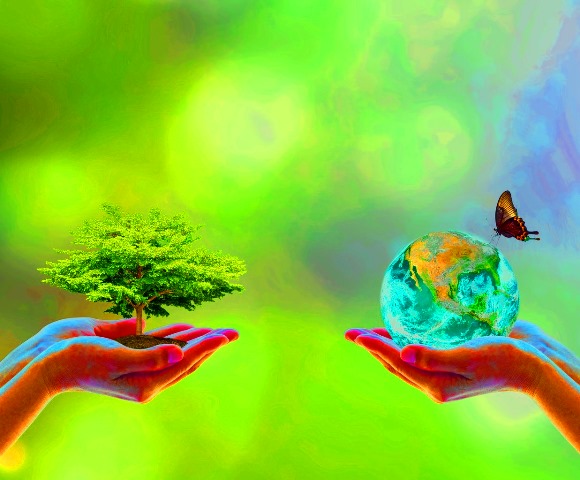 Two human hand planting perfect growing tree earth on natural background greenery Arbor reforestation conservation csr esg peace campaign World environment day Element of this image furnished by NASA